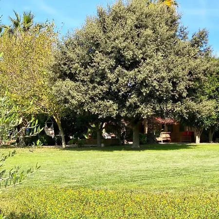 Sa Maiola-swimming Pool-5min From Centre بيت للعطل *